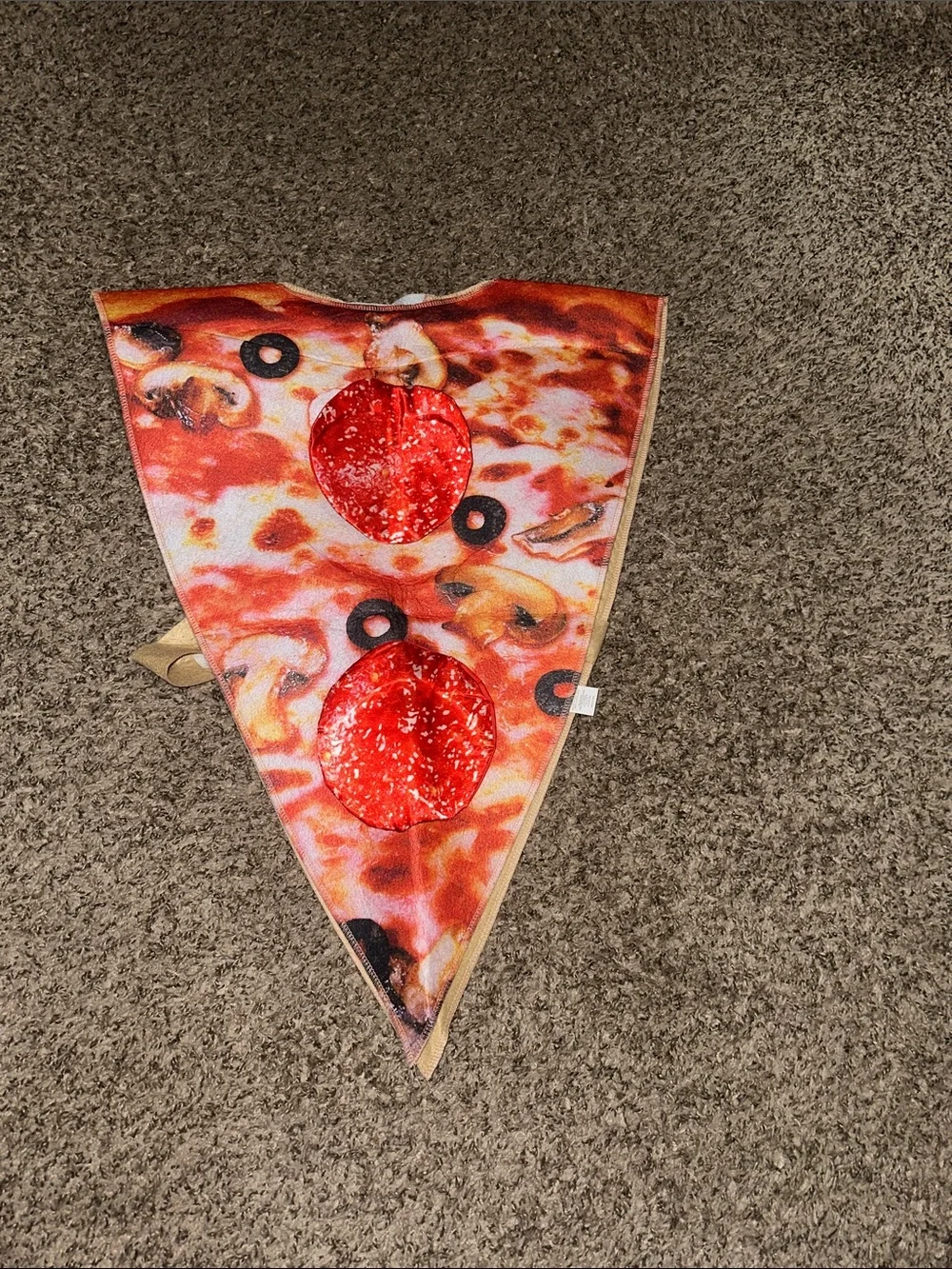 Toy Box Dress Up Pizza Slice Crossplay, Halloween Costume